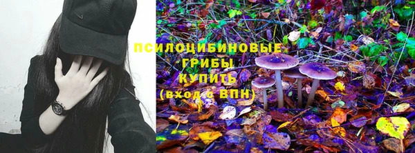 спиды Арсеньев
