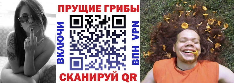 Псилоцибиновые грибы Psilocybine cubensis  kraken сайт  Гудермес 