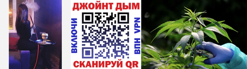 МАРИХУАНА сатива  Гудермес 